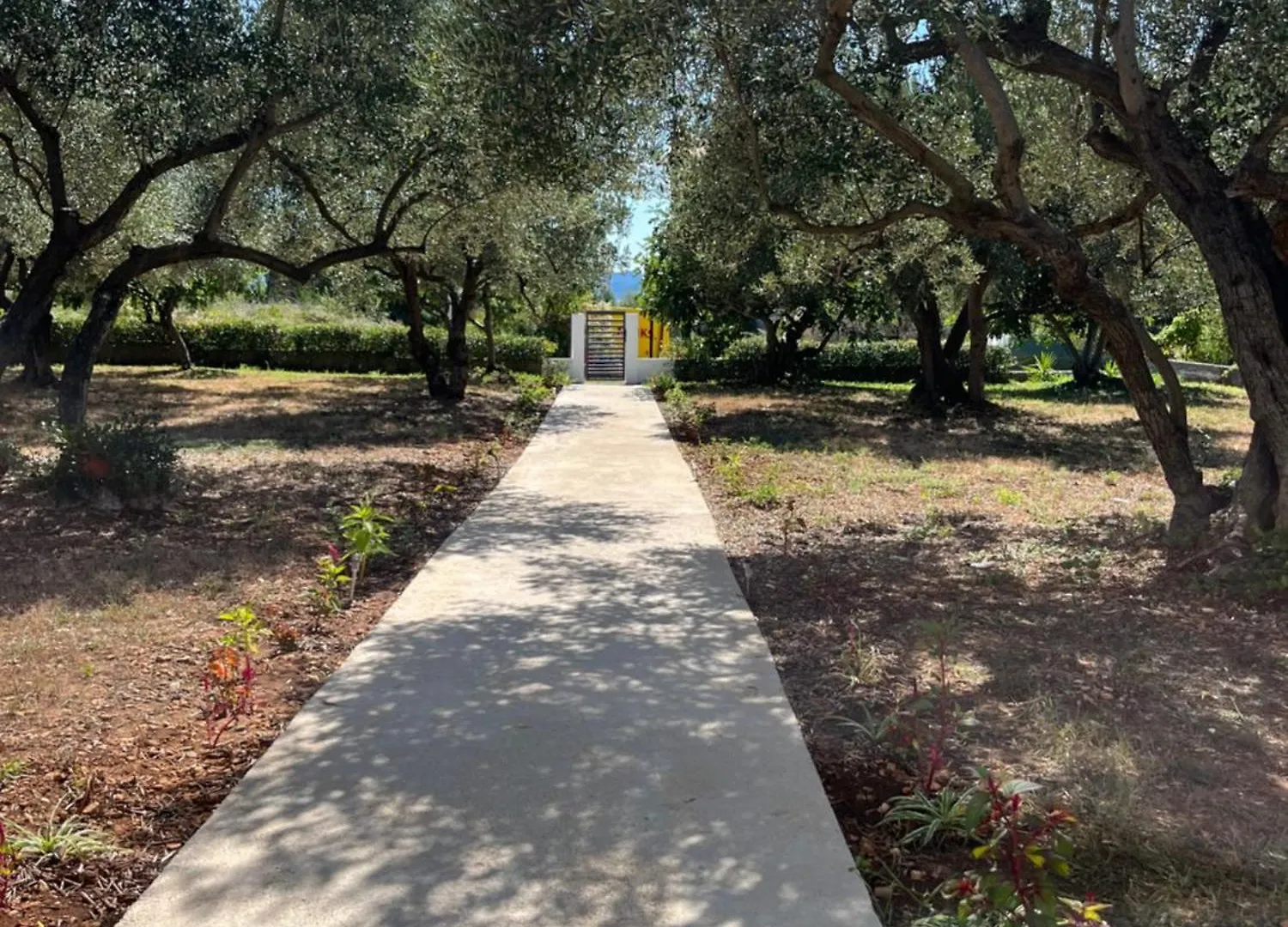 Apartman Oliva Zadar 0*,  Chorvatsko