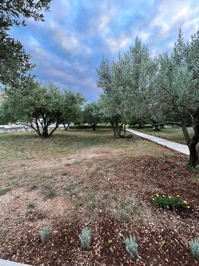 Apartman Oliva Zadar