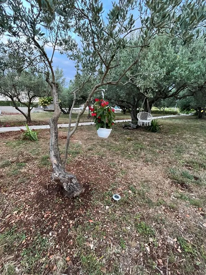 Apartment Apartman Oliva Zadar